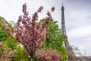 Paris, Fransa 'da güneşli bir bahar gününde Eyfel Kulesi