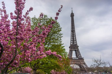 Paris, Fransa, 2019: Paris'te güneşli bahar gününde Eyfel Kulesi, Fransa