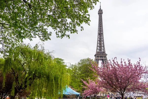 Paris Franța 2019 Turnul Eiffel Ziua Însorită Primăvară Din Paris — Fotografie, imagine de stoc