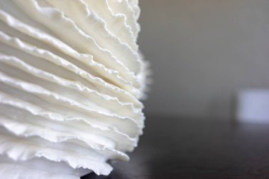 ahşap bir masa üzerinde güzel beyaz vazo