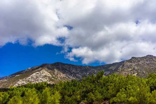 Girit Bir Dağda Ağaçlar — Stok fotoğraf