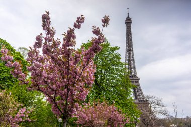 Paris, Fransa 'da güneşli bir bahar gününde Eyfel Kulesi
