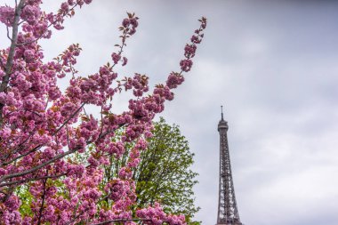 Paris, Fransa 'da güneşli bir bahar gününde Eyfel Kulesi
