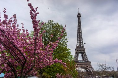 Paris, Fransa, 2019: Paris'te güneşli bahar gününde Eyfel Kulesi, Fransa