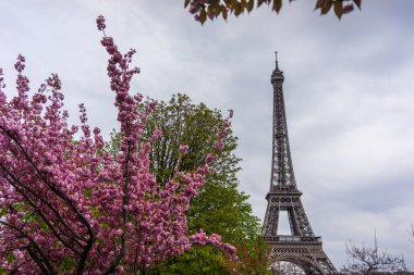 Paris, Fransa, 2019: Paris'te güneşli bahar gününde Eyfel Kulesi, Fransa