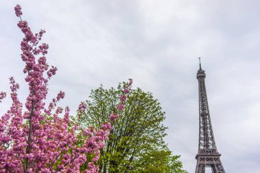 Paris, Fransa, 2019: Paris'te güneşli bahar gününde Eyfel Kulesi, Fransa