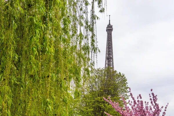 Eiffeltornet Solig Vårdag Paris Frankrike — Stockfoto