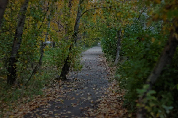 下诺夫哥罗德哥罗德在秋天 — 图库照片