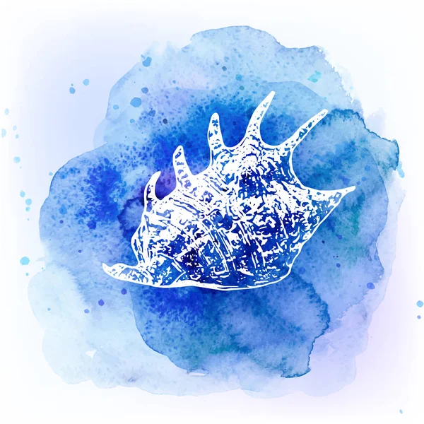 水彩の青い背景の貝殻。海の背景. — ストック写真