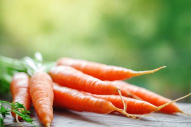 Taze havuç Bahçe. Hasat. Seçici odak. Arka plan kopya alanı ile.