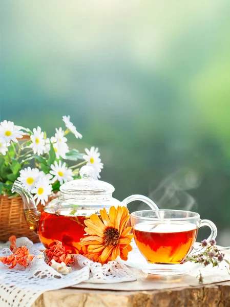 La taza con el té caliente con la menta y el tomillo sobre la mesa de madera en el jardín veraniego. Enfoque selectivo , —  Fotos de Stock