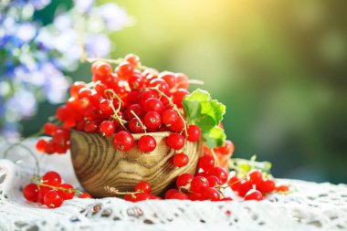 Bahçedeki ahşap bir masa üzerinde olgun kırmızı kuş üzümü.