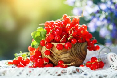Bahçedeki ahşap bir masa üzerinde olgun kırmızı kuş üzümü.