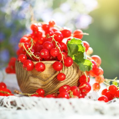 Bahçedeki ahşap bir masa üzerinde olgun kırmızı kuş üzümü.