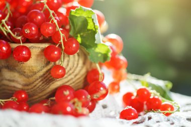 Bahçedeki ahşap bir masa üzerinde olgun kırmızı kuş üzümü.