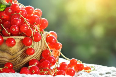 Bahçedeki ahşap bir masa üzerinde olgun kırmızı kuş üzümü.