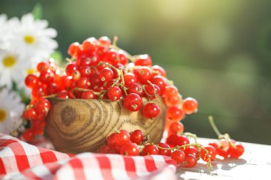 Bahçedeki ahşap bir masa üzerinde olgun kırmızı kuş üzümü.