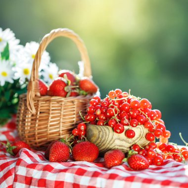 Olgun meyveler - kırmızı kuş üzümü, çilek, Bektaşi yaz bahçesinde ahşap bir masa üzerinde. Hasat. Yaz natürmort.