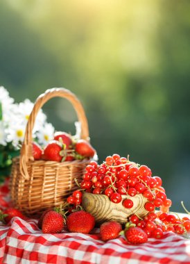 Olgun meyveler - kırmızı kuş üzümü, çilek, Bektaşi yaz bahçesinde ahşap bir masa üzerinde. Hasat. Yaz natürmort.