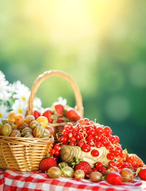 Olgun meyveler - kırmızı kuş üzümü, çilek, Bektaşi yaz bahçesinde ahşap bir masa üzerinde. Hasat. Yaz natürmort.