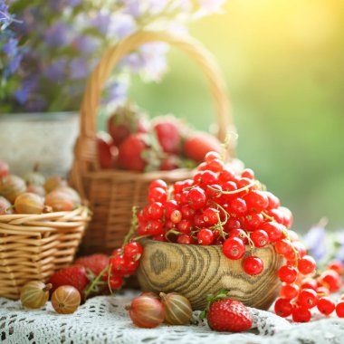 Olgun meyveler - kırmızı kuş üzümü, çilek, Bektaşi yaz bahçesinde ahşap bir masa üzerinde. Hasat. Yaz natürmort.
