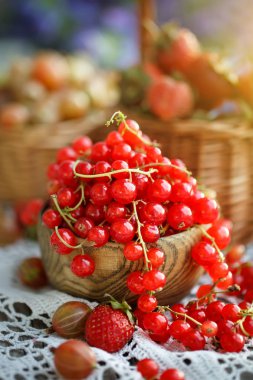 Bahçedeki ahşap bir masa üzerinde olgun kırmızı kuş üzümü.