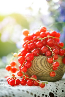 Bahçedeki ahşap bir masa üzerinde olgun kırmızı kuş üzümü.
