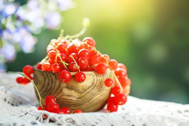 Bahçedeki ahşap bir masa üzerinde olgun kırmızı kuş üzümü.