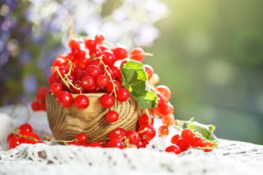 Bahçedeki ahşap bir masa üzerinde olgun kırmızı kuş üzümü.