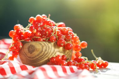 Bahçedeki ahşap bir masa üzerinde olgun kırmızı kuş üzümü.