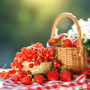 Olgun meyveler - kırmızı kuş üzümü, çilek, Bektaşi yaz bahçesinde ahşap bir masa üzerinde. Hasat. Yaz natürmort.