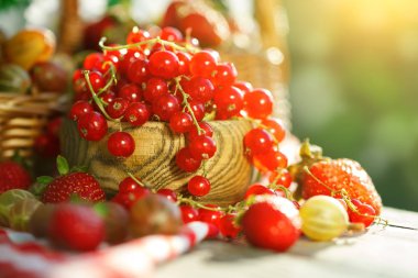 Olgun meyveler - kırmızı kuş üzümü, çilek, Bektaşi yaz bahçesinde ahşap bir masa üzerinde. Hasat. Yaz natürmort.