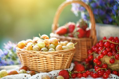 Olgun meyveler - kırmızı kuş üzümü, çilek, Bektaşi yaz bahçesinde ahşap bir masa üzerinde. Hasat. Yaz natürmort.