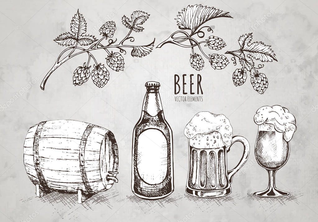 Painted elements on the theme of beer. Vector set. Beer glass, mug, bottle, and hop. Vintage vector engraving illustration for web, poster, invitation to party.