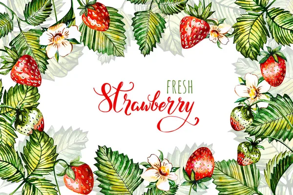 Çilek ile suluboya çiçek arka plan. Yaz kartı. Çerçeve suluboya çilek ile.