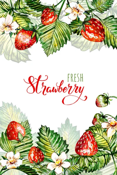 Aquarell floralen Hintergrund mit Erdbeeren. Sommerkarte. Rahmen mit Aquarell-Erdbeeren. — Stockfoto