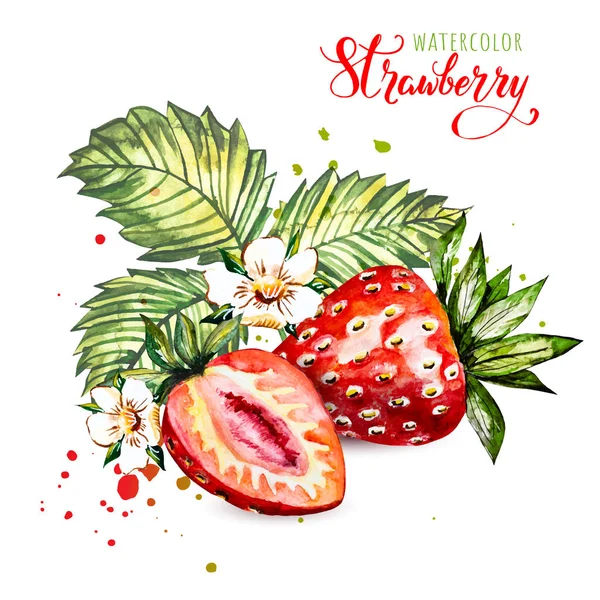 손으로 색 칠 한 딸기는 흰색 바탕에 물감으로 그린 것입니다. 열매의 비유. — 스톡 사진
