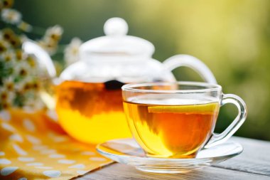 Fincan sıcak çay nane ve yaz bahçesinde ahşap bir masa üzerinde bir kekik ile.