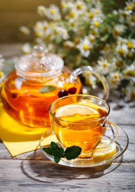 Fincan sıcak çay nane ve yaz bahçesinde ahşap bir masa üzerinde bir kekik ile.