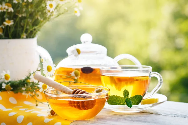 Fincan sıcak çay nane ve yaz bahçesinde ahşap bir masa üzerinde bir kekik ile. — Stok fotoğraf