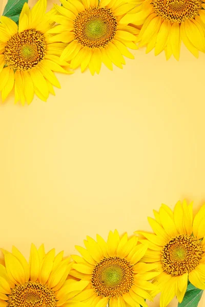 Schöne Sonnenblumen auf gelbem Hintergrund. Blick von oben. Hintergrund mit Kopierraum. — Stockfoto