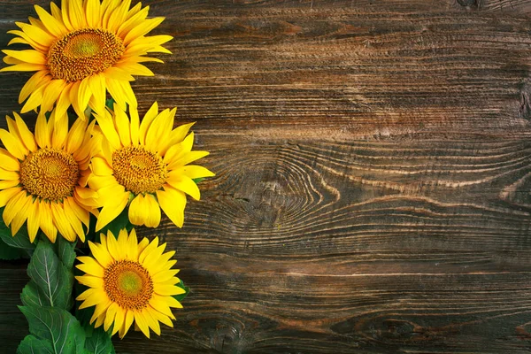 Krásné slunečnice na dřevěný stůl. Pohled shora. Pozadí s kopií prostor. — Stock fotografie