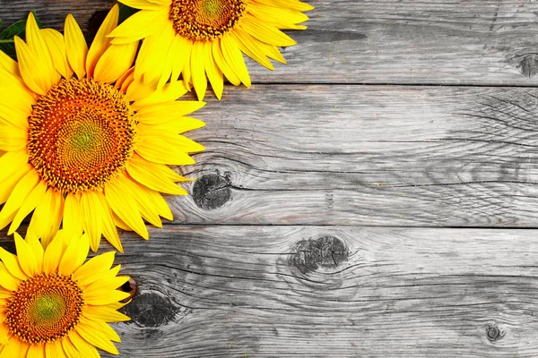 stock image Beautiful sunflowers on a wooden table. View from above. Background with copy space.