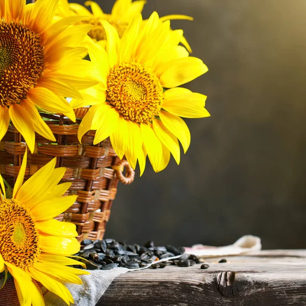 Hermosos girasoles en una canasta sobre una mesa de madera . — Foto de Stock