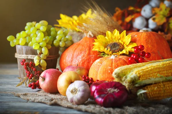 Happy Thanksgiving Day background, wooden table decorated with Pumpkins, Maize, fruits and autumn leaves. Harvest festival. Selective focus. Horizontal.