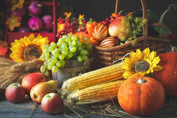 Feliz Día de Acción de Gracias fondo, mesa de madera decorada con calabazas, maíz, frutas y hojas de otoño. Fiesta de la cosecha. Enfoque selectivo. Horizontal . — Foto de Stock