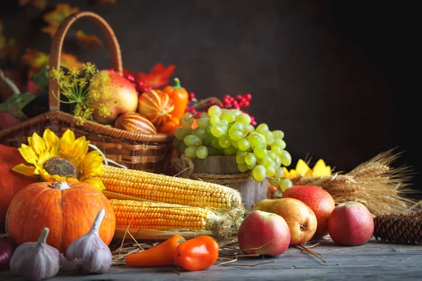 Happy Thanksgiving Day background, wooden table decorated with Pumpkins, Maize, fruits and autumn leaves. Harvest festival. Selective focus. Horizontal. Background with copy space.