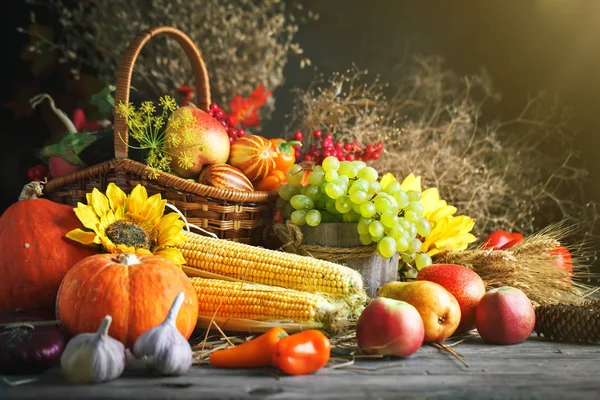 Feliz Día de Acción de Gracias fondo, mesa de madera decorada con calabazas, maíz, frutas y hojas de otoño. Fiesta de la cosecha. Enfoque selectivo. Horizontal . — Foto de Stock