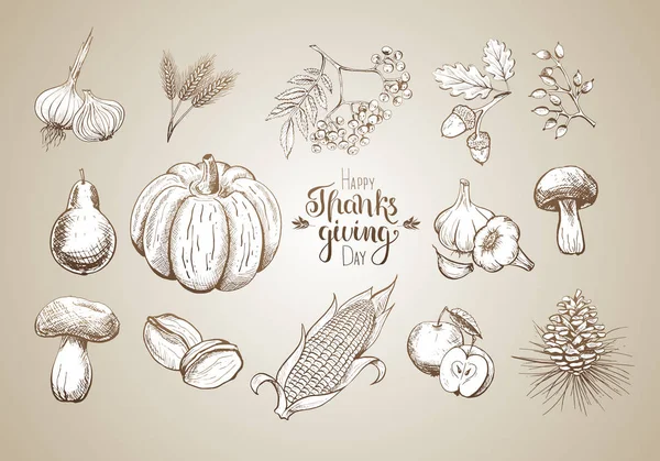 Ręcznie rysowane owoców i warzyw. Dziękczynienie i Dożynki. Grawerowane stylu. — Wektor stockowy