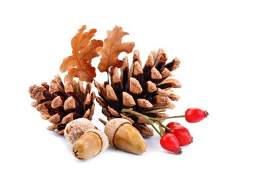 Mutlu Şükran günü arka plan. Beyaz arka plan Pumpkins, Mısır, meyve ve sonbahar yaprakları ile süslenmiş. Sonbahar Festivali. Hasat Festivali. Üstten görünüm. Yatay.
